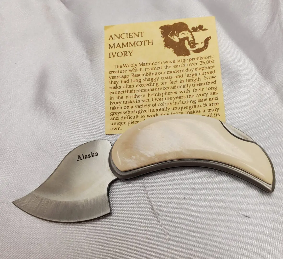 A small knife with a wooden handle and an ancient mammoth story card.