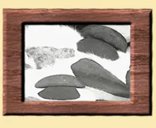 A picture frame with some rocks in it