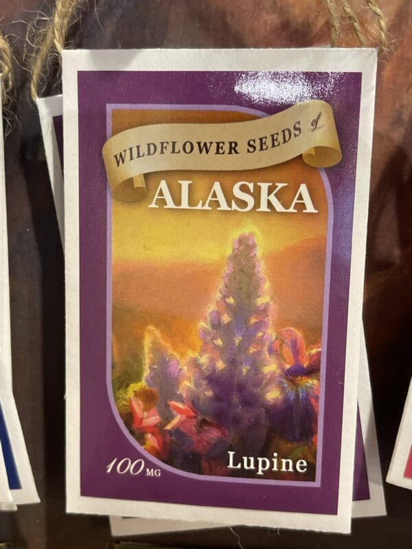 Wildflower seeds of alaska lupine.