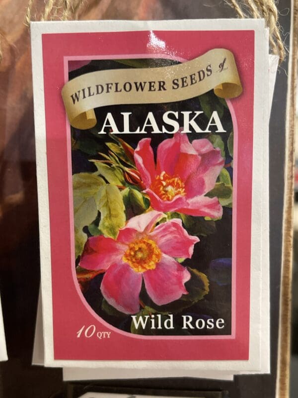 Wildflower seeds alaska wild rose.