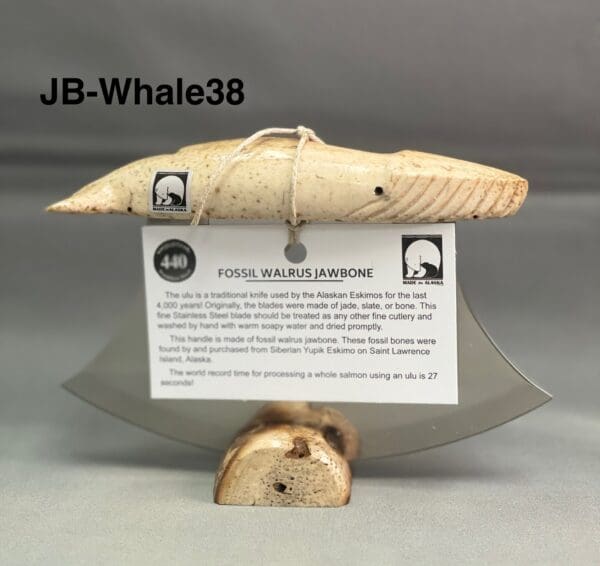 Fossil Walrus Jawbone - Whale Carved handle