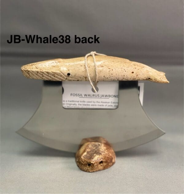 Fossil Walrus Jawbone - Whale Carved handle - Image 2